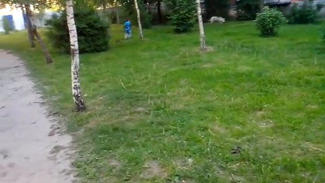 Хло и Макс