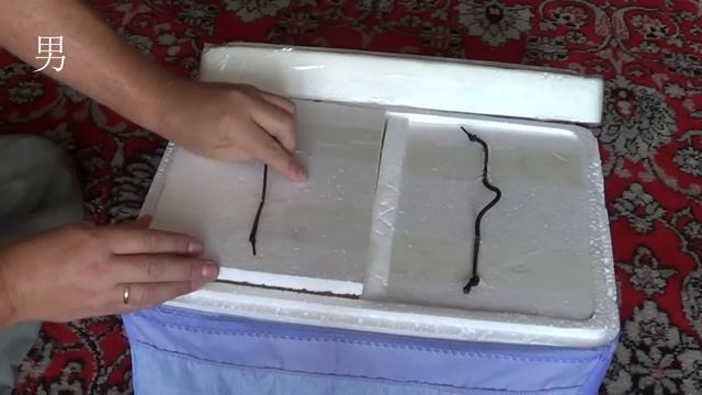сумка-холодильник своими руками