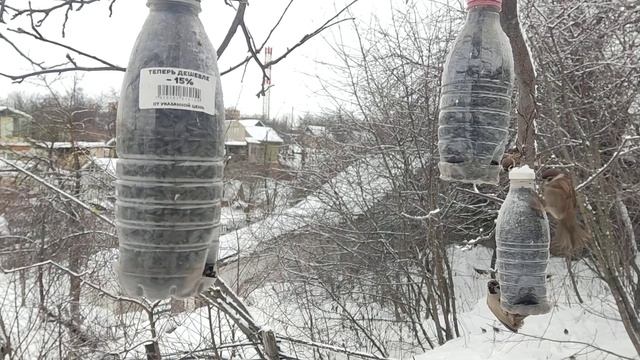 28.12 зеркало на https://t.me/ggrom68