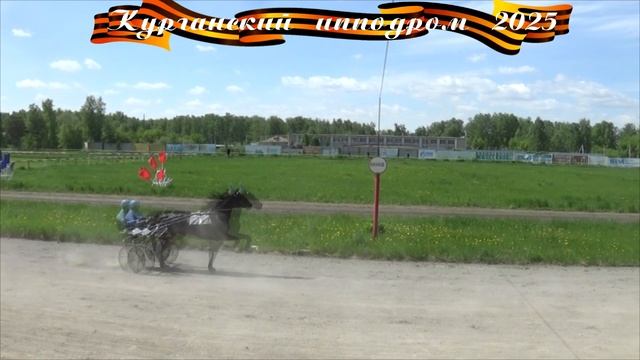 17.05.2025 - заезд 2: Приз "Памяти А.М. Ползуновой" Для лошадей рысистой породы 3-х лет. 1600 м.