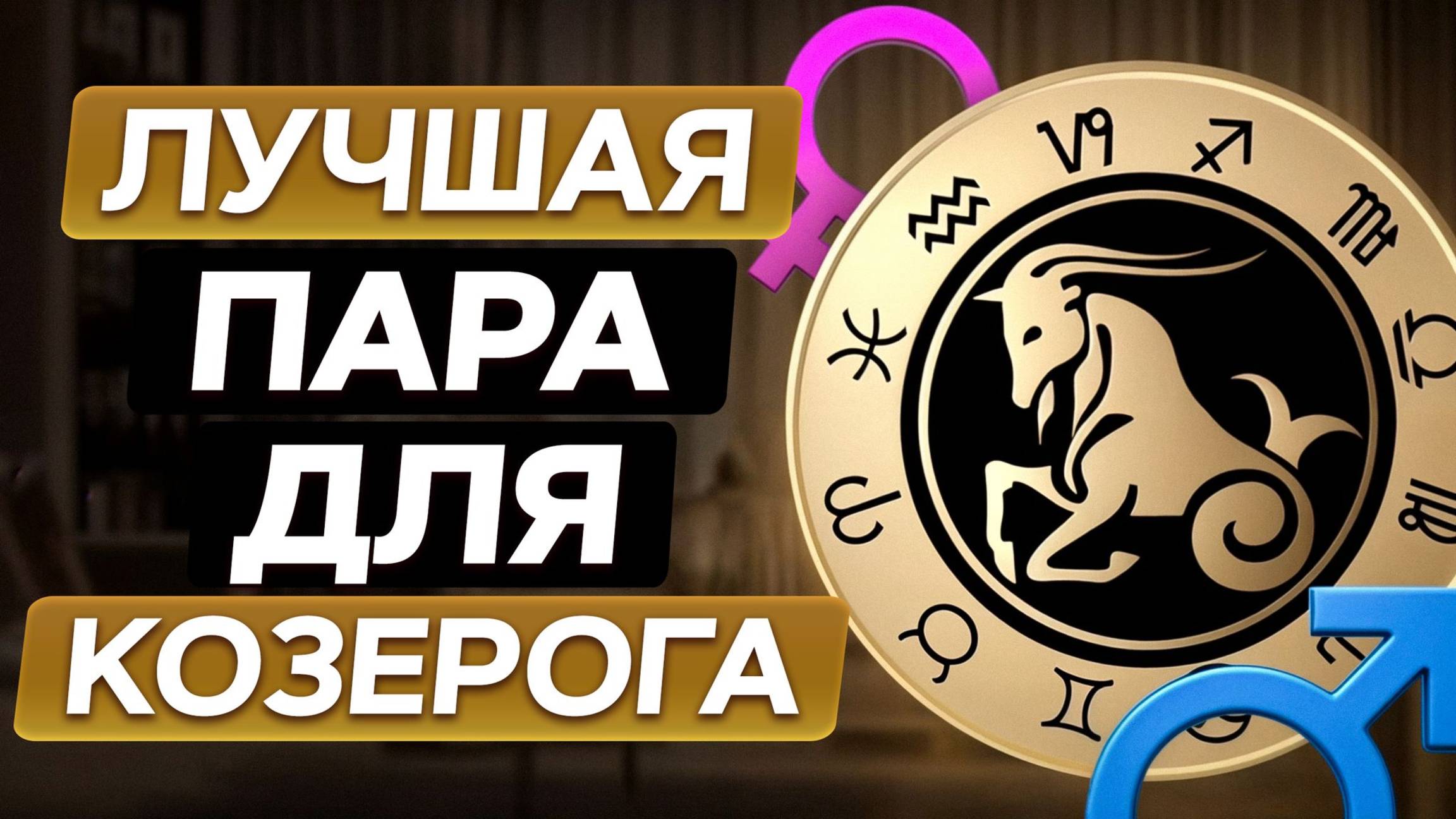 ИЩЕМ пару Козерогу! / С какими знаками зодиака лучше всего СОВМЕСТИМЫ Козероги?