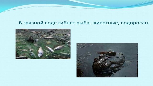 сбережем водоемы вместе.