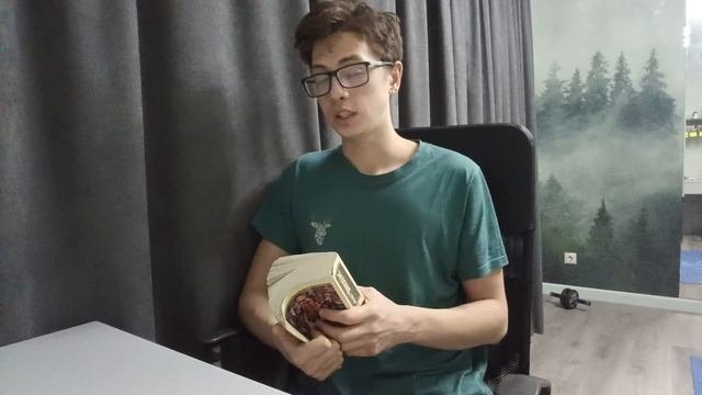 Чарльз Диккенс - Дэвид Копперфилд. Моя любимая книга. -