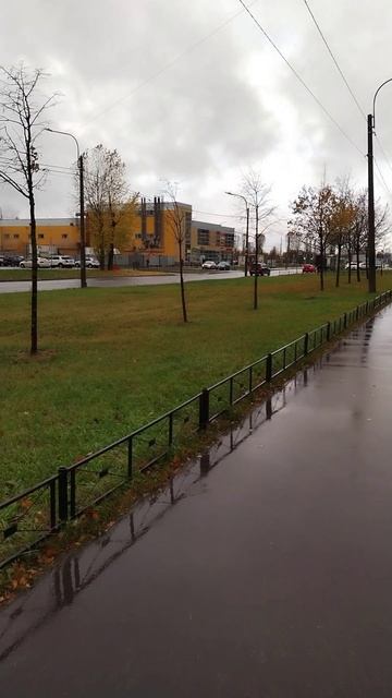 Сегодня ветрено и дождливо. 30 октября 2024.