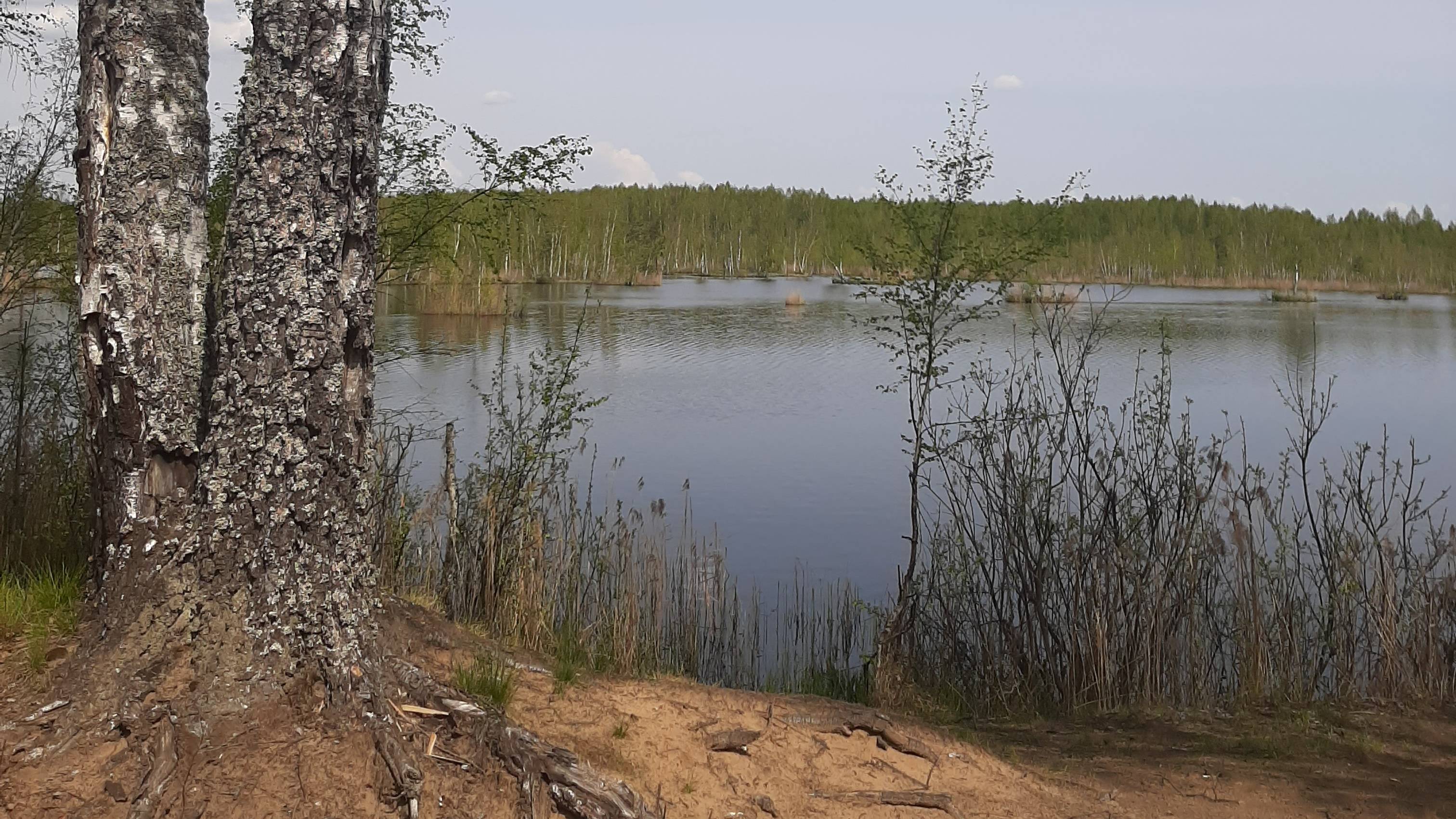 Поездка в урочище Черная грива