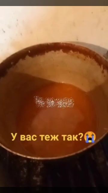 🔴Шо жрут хохлы🔴