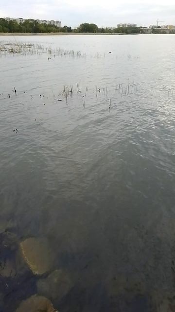Можно просто о чем то подумать.