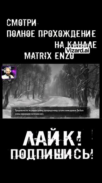 Густые слои деревьев усыпанные сверкающим снегом