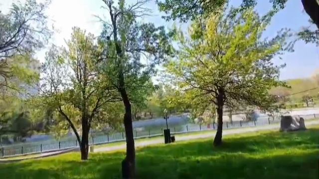 Записки не юного натуралиста в парке Динамо 🌲