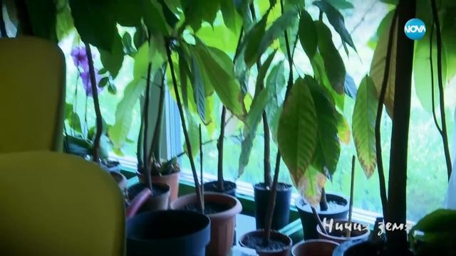 „Ничия земя“: Среща с обичания шоумен Кофе Бабоне и половинката му Мая (01.07.2023) - част 2