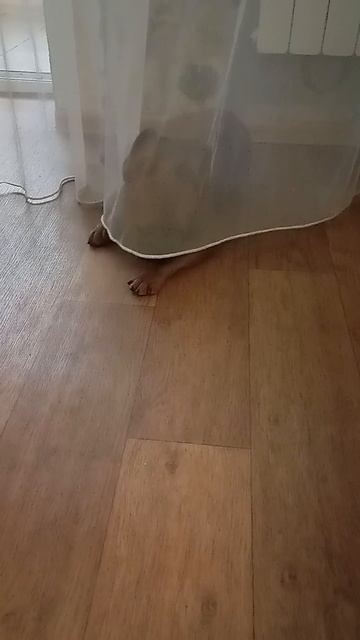 Спрятался, устал...