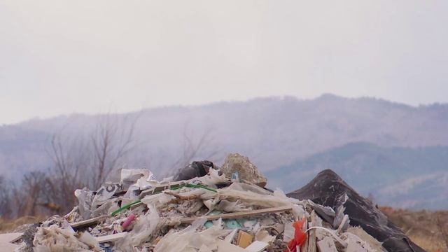 На мусорном полигоне не успели прибраться к приезду минприроды