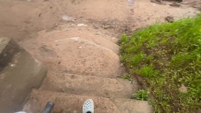 У нас тут недалеко улиточная ферма есть) думаем с Мирусей улиток им может, собирать, как думаете???)