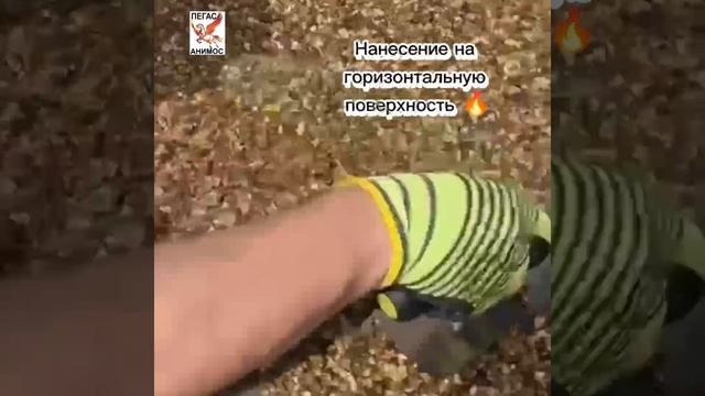 VID-20250519-WA0070.mp4