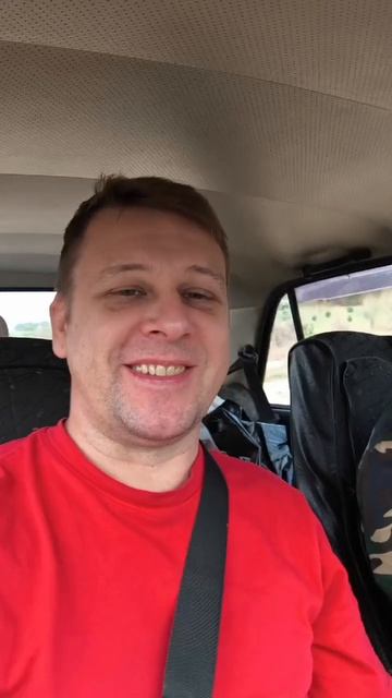 Поехал на пасеку проверять питомцев