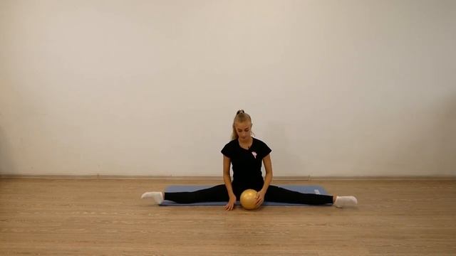 Широкие перекаты мяча по полу