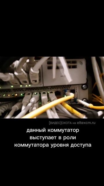 Коммутатор доступа MES2448B Eltex. Видео[Охота] на eltexcm.ru