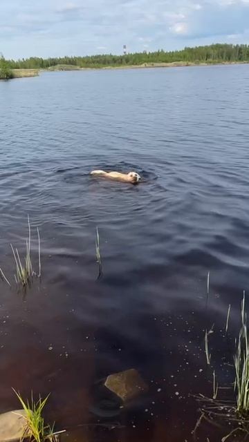video_2025-05-19_15-23-35