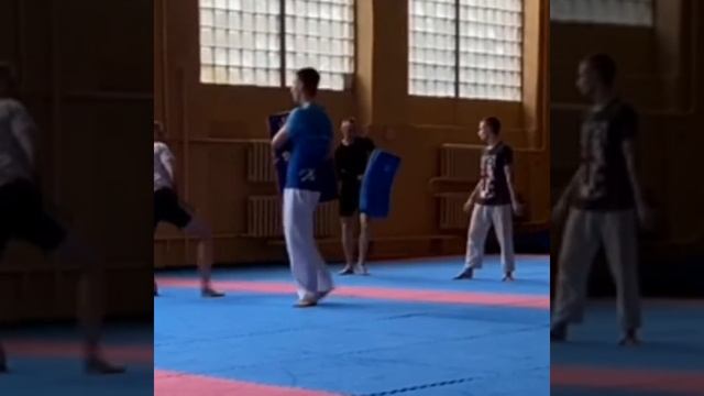 Тхэквондо, твид чаги в комбинациях