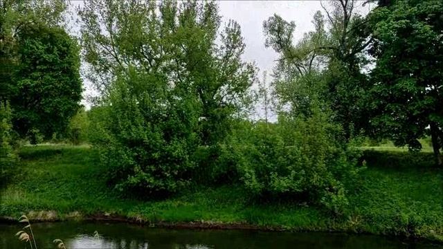 СВОБОДА КОРЕНСКАЯ ПУСТЫН