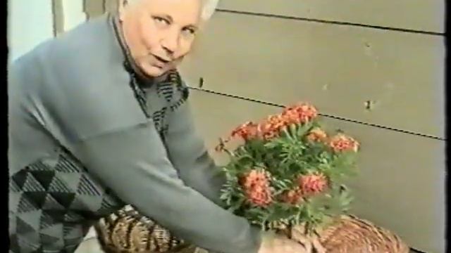 Сундучок от отца.  Село Дединово. Автор: Геннадий Гахов