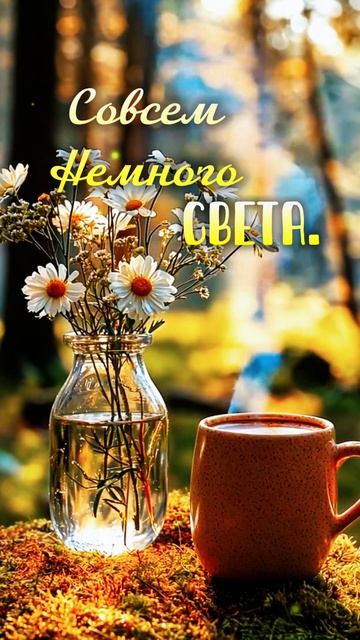 #доброеутро