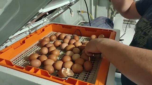 1000019494.mp4