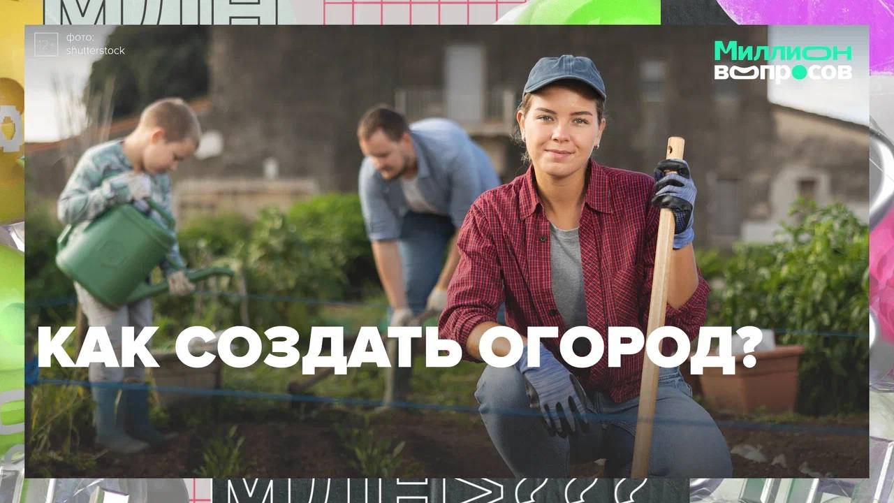 Что высадить в огороде?| Миллион вопросов — Москва24|Контент