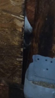 Когда сидишь на диете