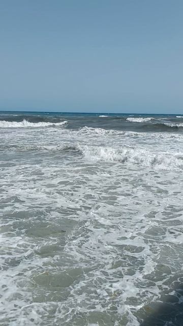 🌊