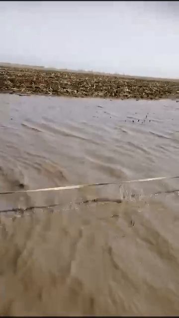 Грязь везде можно найти