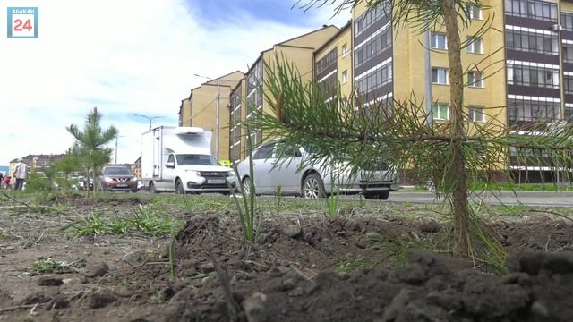Жилой район "Арбан" в столице Хакасии обретает новый ландшафт