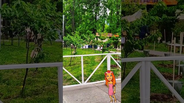 У Динамо люди спешат по делам. Вдруг - бац! Активисты с саженцами и лопатами
