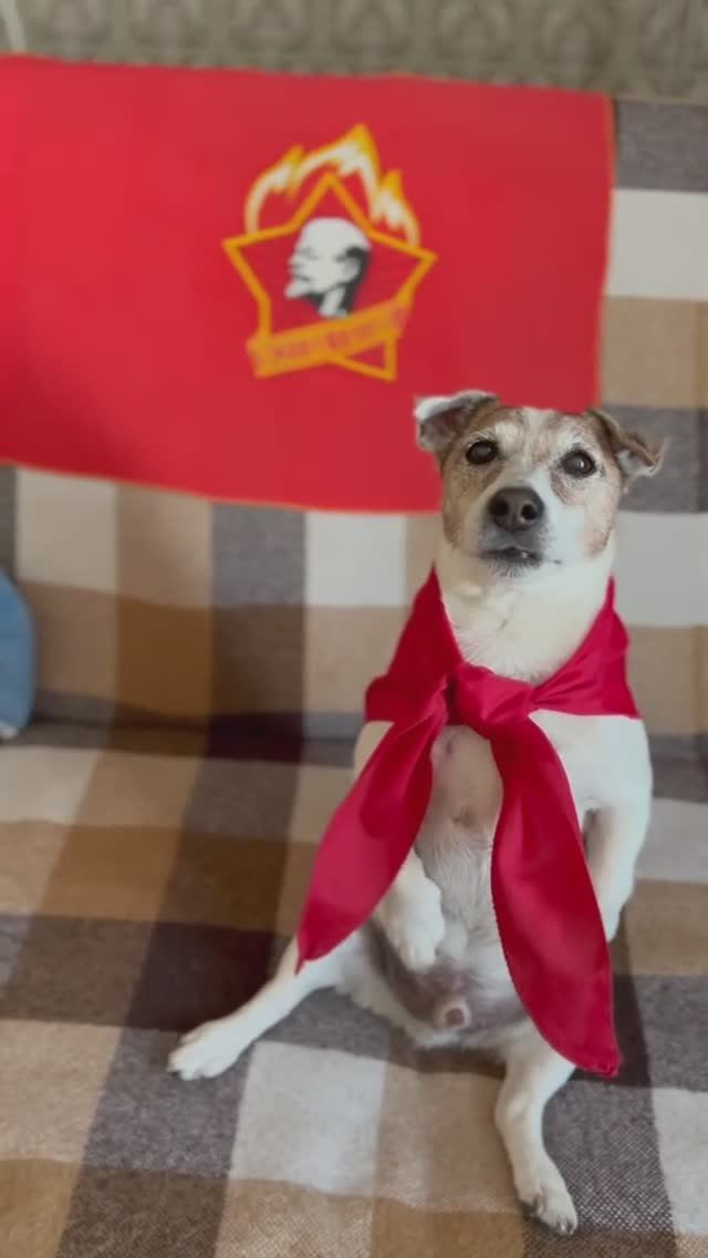 Ребята, с Днём пионерии вас 😊