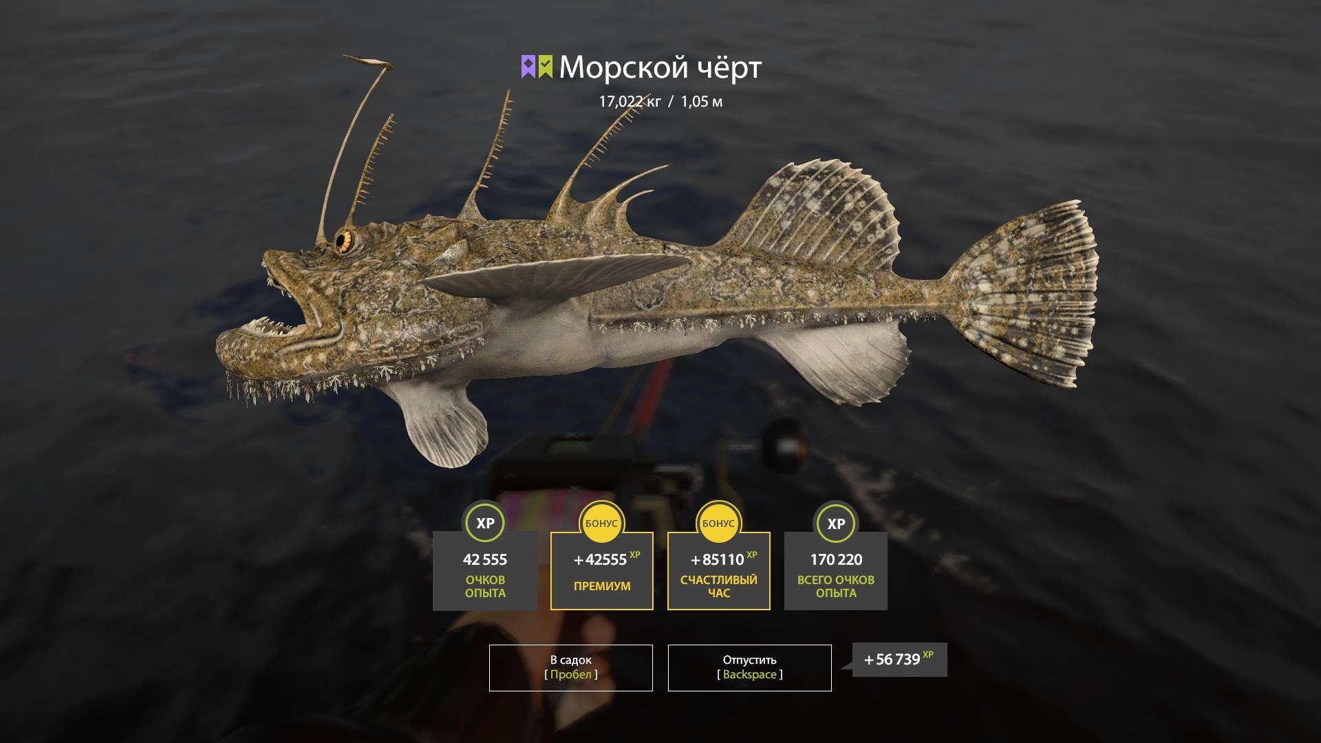 Русская рыбалка 4. Норвежское море. Морской Черт