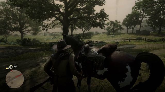 Природа, уединение, работа [Red Dead Redemption 2]