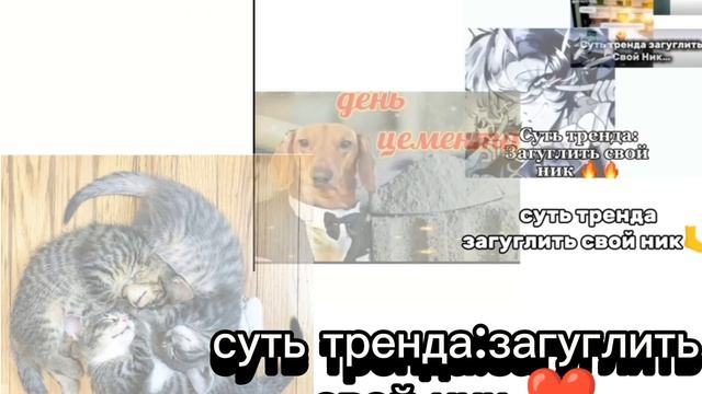 Коллабчик ☺️