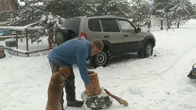 Вырезаю табурет из цельной древесины березы