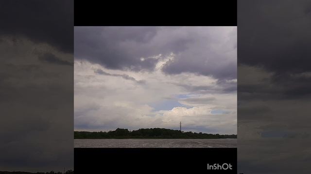19-05-2025 19 мая. Утренняя прогулка.  А в народе говорят: если зацвел шиповник, значит пришло лето