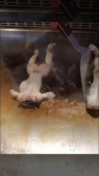 Kc2psC5VQbY - Teppanyaki on street food,restaurant,BBQ,Pub street#Short#Shorts