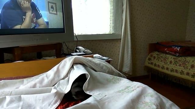 Спать пора