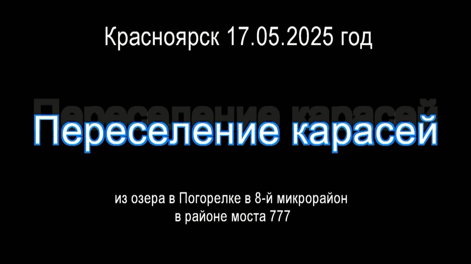 Переселение карасей  с озера Погорелка в 8 микрорайон 2 и 3 озеро Красноярск