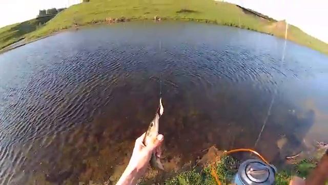 ловля щуки на спиннинг