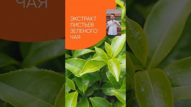 Сергей Семенченко - Липостик Фит новый формат снижения веса