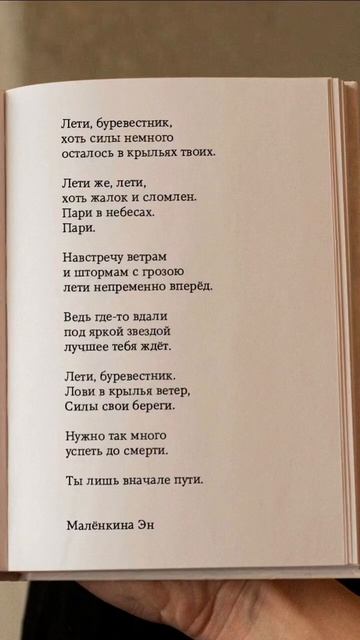 #стих #стихи #поэзия #литература #жизнь #мысли #мысливслух #стихи #мечта