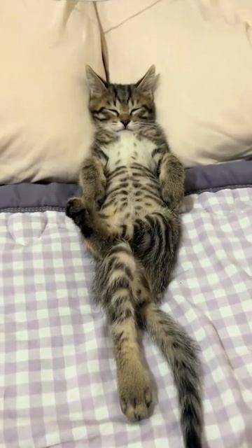 Э-э-э-Х ! Релакс !