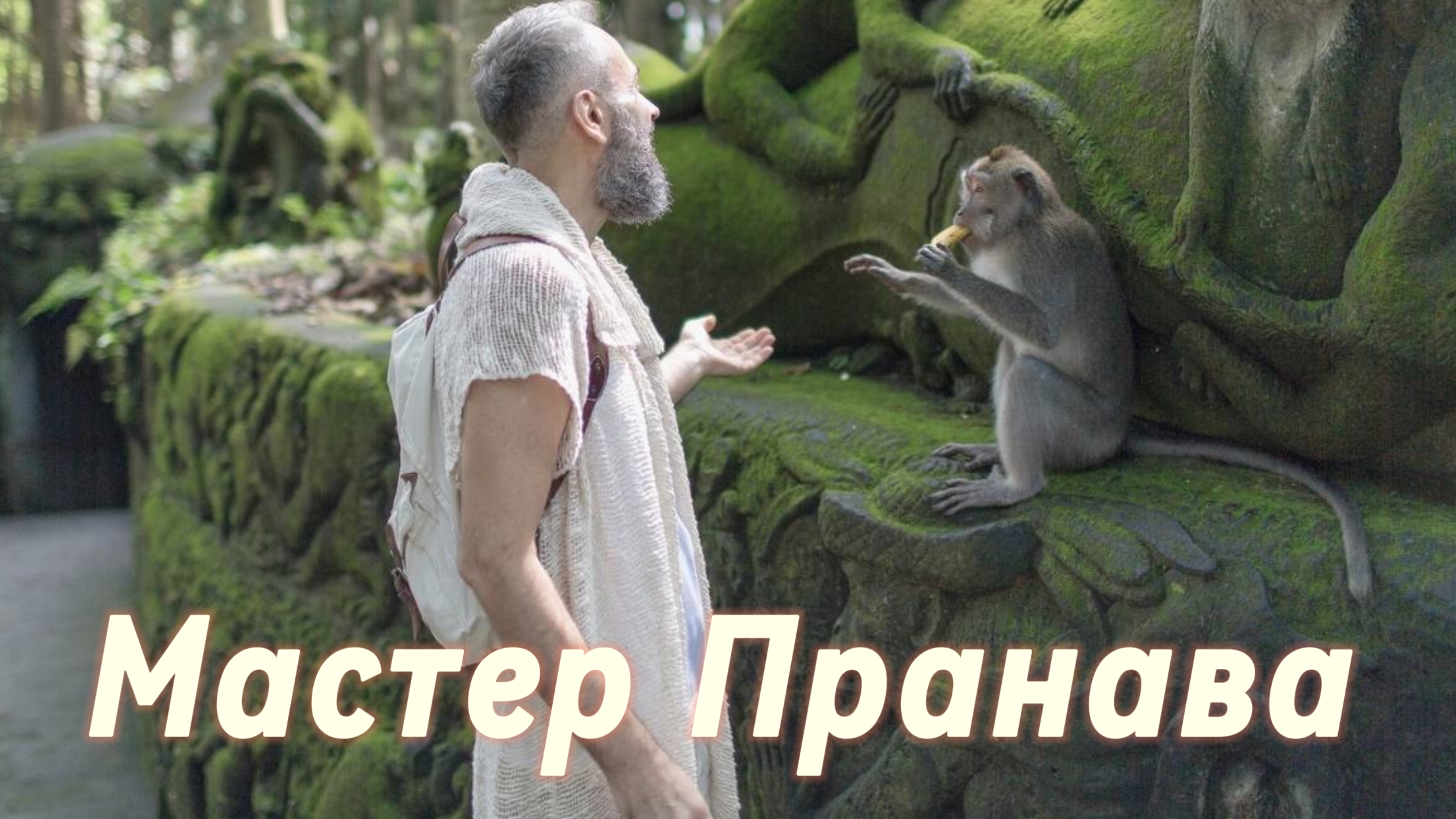 Сатсанг ответы на вопросы, Сборник 88. Мастер Пранава
