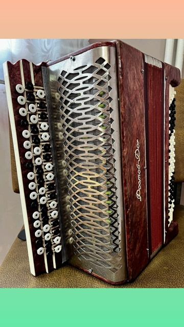 Ремонт баяна "Ростов Дон"