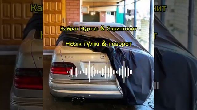 Кайрат Нуртас & Скриптонит "Нәзік гүлім - поворот"#кайр?