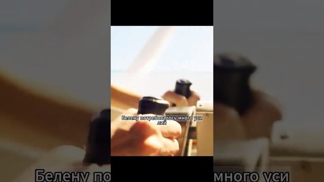 Фильмы на вечер